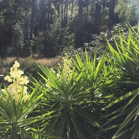 Mare E Monti - De Charme