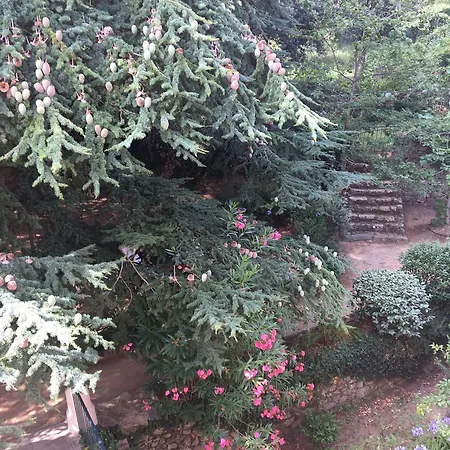 Mare E Monti - De Charme Hotel Feliceto