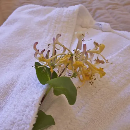 Mare E Monti - De Charme 3* Feliceto