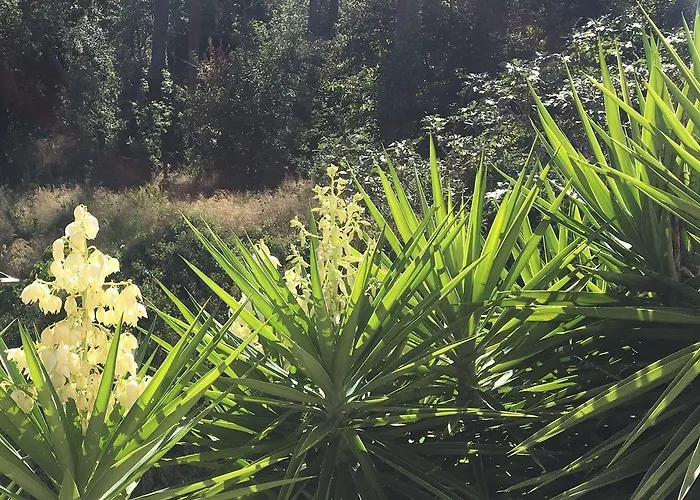 Mare E Monti - De Charme